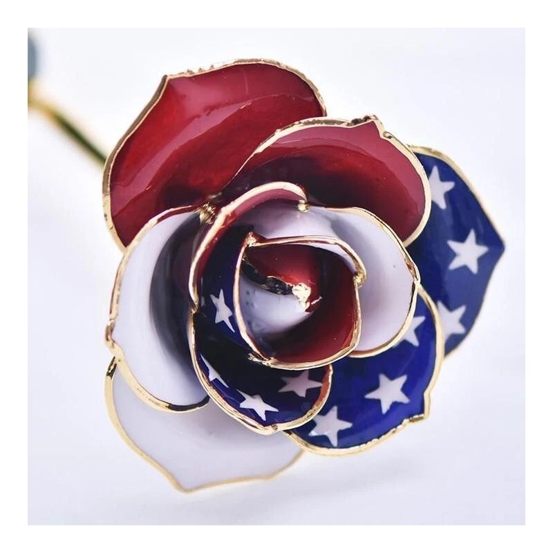 24k American Flag Patriotic 24K Gold Dipped Long Stem Forever