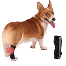 Anosiar Dog Rear Leg Hock Brace, Pair of Canine Dog Leg Joint Wraps Compression Brace Protects Wounds, Heals and Prevents Injuries and Sprains Helps with Loss of Stability Caused by Arthritis (XL)