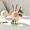 Cocod'or COCODOR Rose Flower Reed Diffuser/Rose Perfume/6.7oz(200ml)/1 Pack/Reed Diffuser, Reed