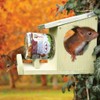 Fallen Fruits WA28 Squirrel Peanut Butter Feeder