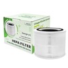 SONGRUI Replacement Cartridge Compatiable with LEVOIT Core 300 300S 300-P