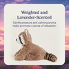 warmies Microwavable & Weighted Stuffed Animals, Raccoon - Heated Stuffed