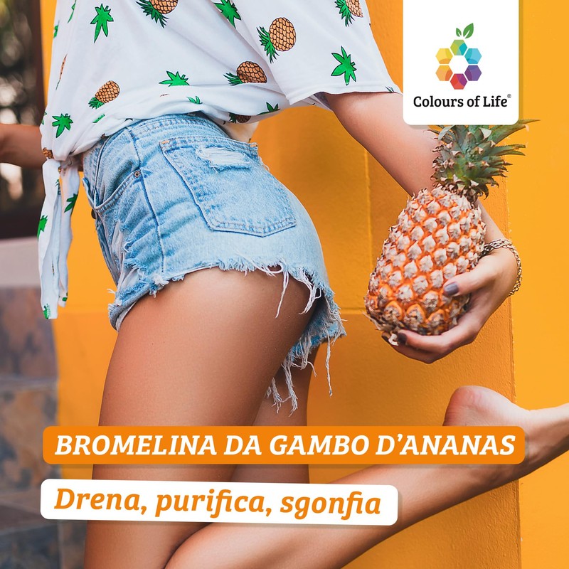 Colours Of Life Bromelina da Gambo d'Ananas 2500 GDU -