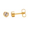 Studex Sterilized Piercing Earrings * Ear Stud * Birthstar *