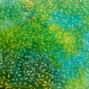 Blended Batiks Fat Quarter Fabric Bundle - 6 Fat Quarters