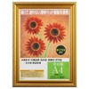 Iwata Picture Frame, Award Frame, Gold Frame, Resin Frame, PET,