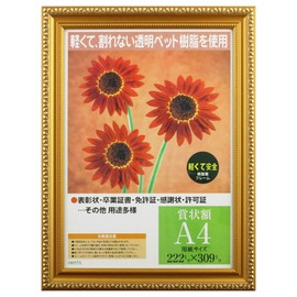 Iwata Picture Frame, Award Frame, Gold Frame, Resin Frame, PET, A4, PSKK-PET-SP-A4