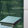 Dingbats* - Wildlife Plain Reporter A6 Notebook - PU Leather