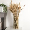 Kamehame Flower Vase Acrylic Clear Vase Tall Rectangle Vase Decorative