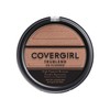 TrueBlend So Flushed High Pigment Bronzer