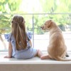 Window Sill Protector (4Inch x 16.5Ft) Cuttable Window Sill Protector,Door