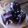 Black Sweet Bell Pepper Seeds for Planting Around 25 Seeds