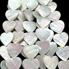 AlohaGemsUSA Silvery-White Nautilus Shell Beads with Superior-Grade Nacre (One of