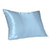 Luxury Satin Pillow Case (Queen, Blue)