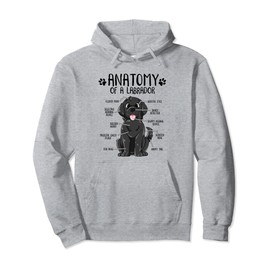 Funny Anatomy Labrador Retriever Black Lab Dog Owner Pullover Hoodie