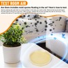 Mold Test Kit for Home Testing: 6 Counts DIY at