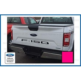 Decal Mods 2018-2020 Tailgate Insert Decals Letters Inlays Indent Stickers (Thin) for Ford F150 (2018-2020) (Hot Pink) - CHOTPINK