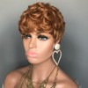HOTKIS Short Curly Human Hair 30 Pixie Cut Wigs for