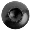 20pcs M6 x 25mm Diameter 12mm Hex Socket Head Black