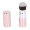 Face Oil Absorbing Roller Double Headed Remove Excess Oil Volcanic