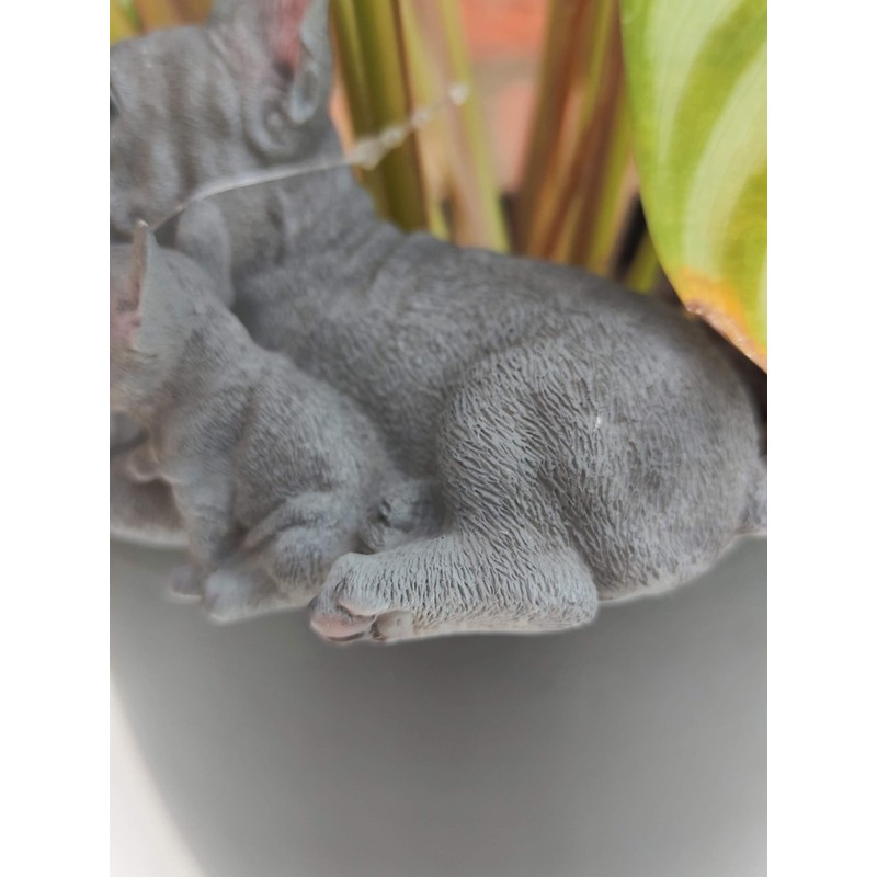 Vivid Arts Plant-Pals (Blue French Bulldog with Puppies)