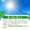 沖縄県産 モリンガ 150粒 タブレット 無農薬栽培 着色料 保存料 不使用 シードコムス