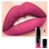 ENGBO Popular Pudaiier21 21 Colors Matte Liquid Lipstick Waterproof Long