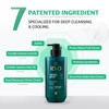 Ryo RYO Deep Cleansing Shampoo with Korean Ginseng & Caffeine