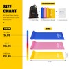 Resistance Bands, Exercise Bands, Physical Therapy Bands for Strength Training,