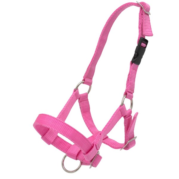 PFIFF Pako 103101 Alpaca Halter with Clip Fastener Adjustable Size Pink