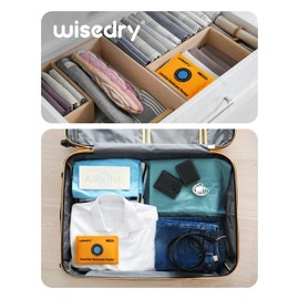 wisedry 100g Rechargeable Color-Indicating Desiccant Packs for Storage, Reusable Silica Gel Desiccant Packets, Moisture Absorbing Packs for Storage Bins, Safes, 3D Filaments, Closet, Electronics