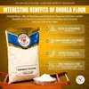 TAJ Dhokla Flour - For the perfect Dhoklas, 4-Pounds