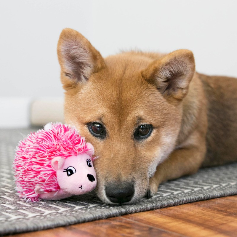 KONG - Comfort HedgeHug Puppy - Indoor Cuddle Squeaky Plush