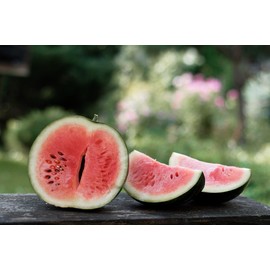 Vegetable & Herb Seed Set - 10 Varieties of Non-GMO Heirloom Premium Seeds for Planting - Squash, Watermelon, Pumpkin, and More!