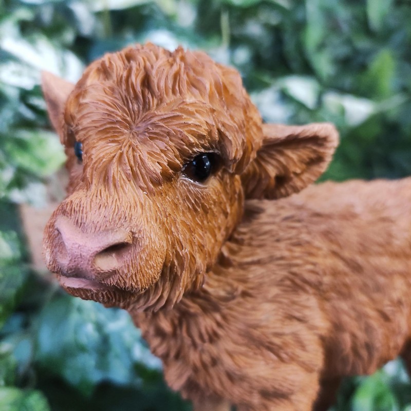 Vivid Arts - Highland Cattle Calf - PP-HLCF-F