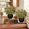 2 Packs Artificial Plants in Black Pot, 12" Faux Plant