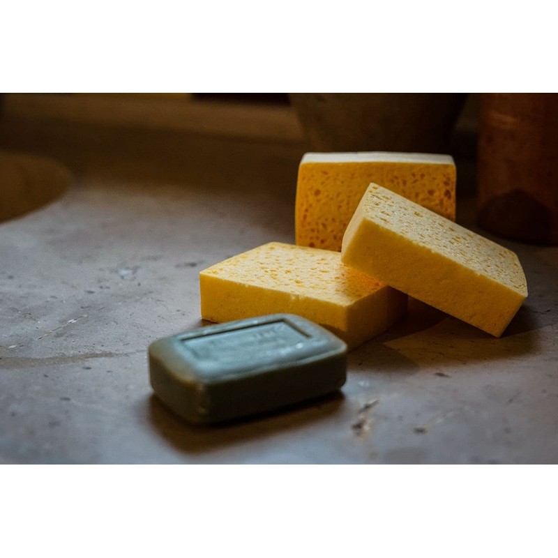 La Corvette Vegetal Sponge (Pack of 3) Dish Sponges