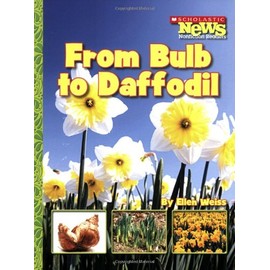 From Bulb to Daffodil
