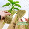 Nuyoah Rock Wool Cultivation Cubes Hydroponics Rockwool Cube Rockwool Cube