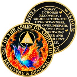 3 Year Butterfly Flame Triangle Sobriety Coin | Striking Silver AA Medallion with Capsule | Anniversary Token for Men & Women in Recovery | Celebrate Key Sobriety Milestones with Symbolic Design