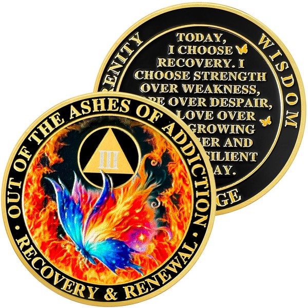3 Year Butterfly Flame Triangle Sobriety Coin | Striking Silver