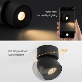 Aisilan LED Indoor Ceiling Spot Light 9W Black Directional Accent Light Fixture with 360° Pivoting Adjustable Surface Hardwired Spotlight Lamp, Warm White CRI 97+ for Living Room Artwork Bedroom