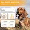 Pawfit Lite for Dogs 4g GPS Tracker | Real Time
