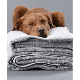 Delilah Home - Luxury Bath Towel Collection - 100% Cotton Turkish Towel Set for Bathroom - Ultra-Soft & Absorbent Organic Spa Towel (1 Piece Each 36x72in) Pack of 1 Towel (Grey)
