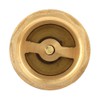 B Foot Valve 1/2 Inch Check Valve 7 x 4