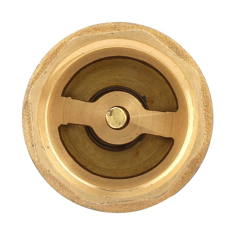 B Foot Valve 1/2 Inch Check Valve 7 x 4
