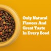 Pedigree Complete Nutrition Adult Dry Dog Food, Roasted Chicken &