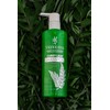 Vreeksha Curry Leaves Hair Shampoo