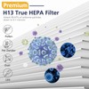 211i Max Replacement Filter Compatible with Blue Pure 211i Max