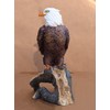 Ebros 8.75" Tall Realistic American Pride Bald Eagle Perching On